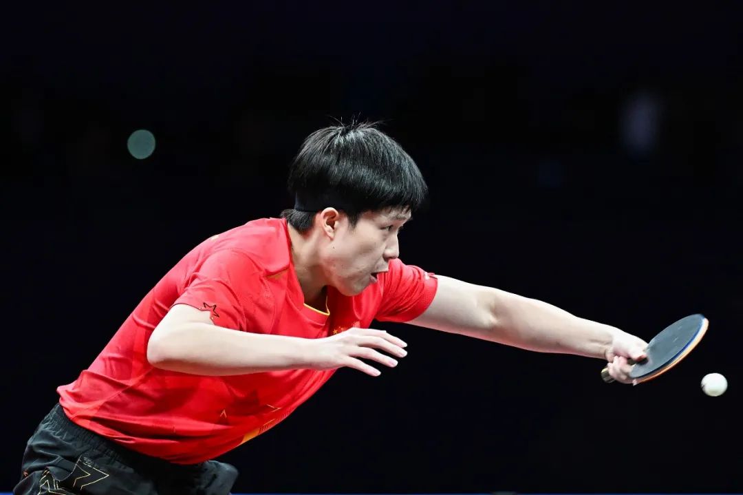 森纳的结果 森纳的结果