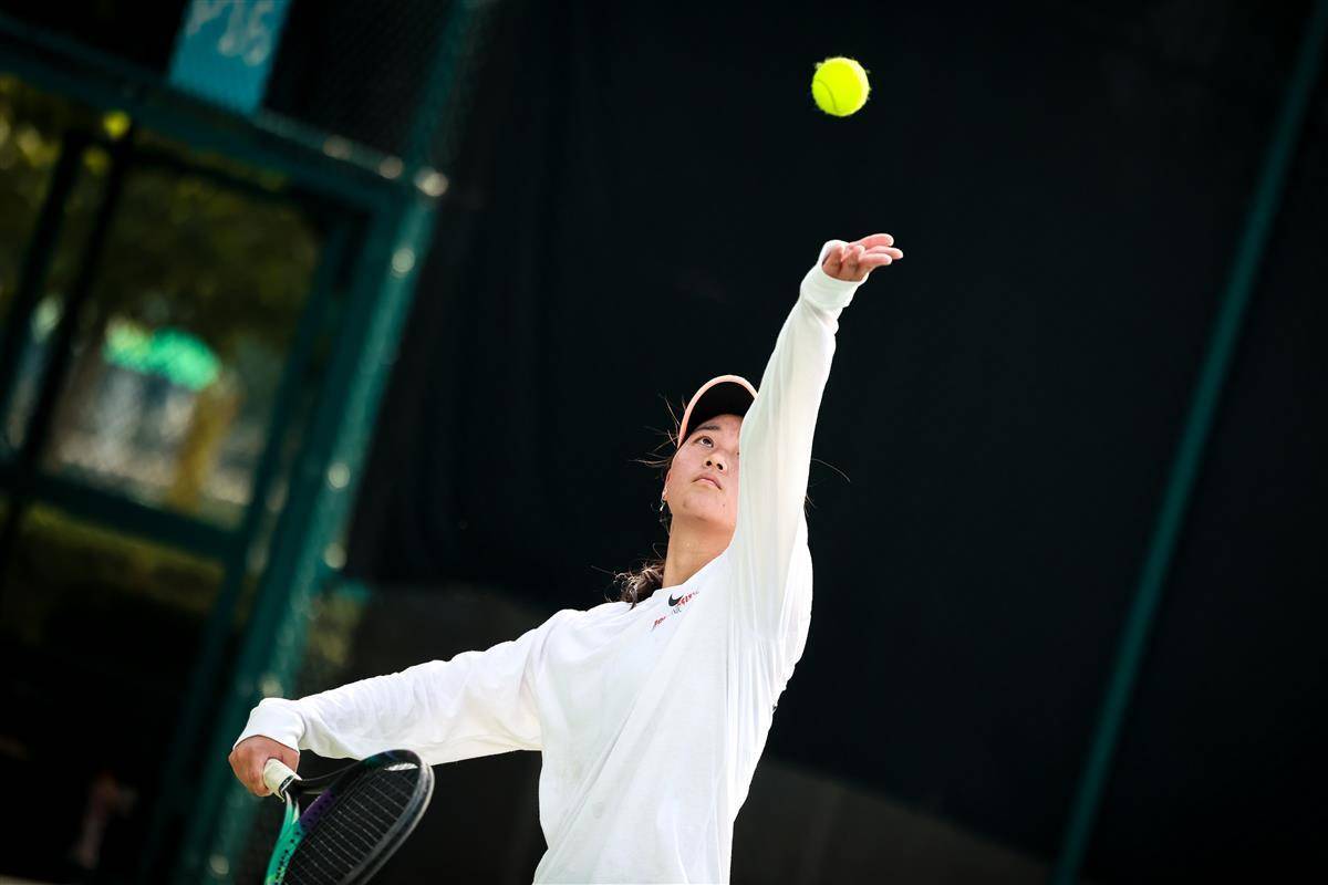 社会组织提 社会组织提